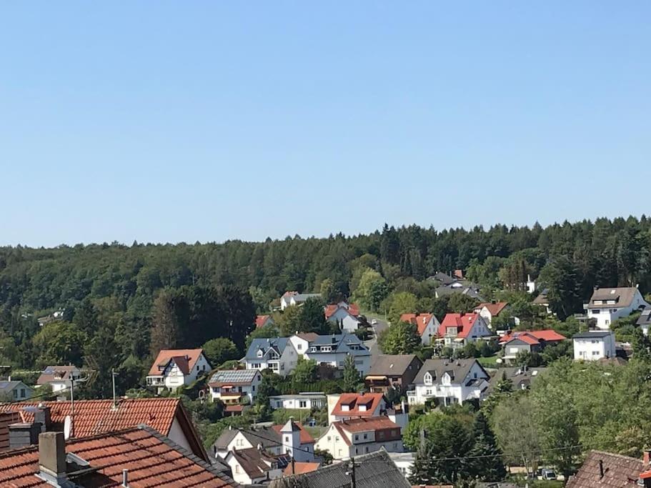 Apartment Mit Wintergarten Und Terrasse In Ruhiger Lage Im Schoenen Taunus Glashutten  Exterior foto