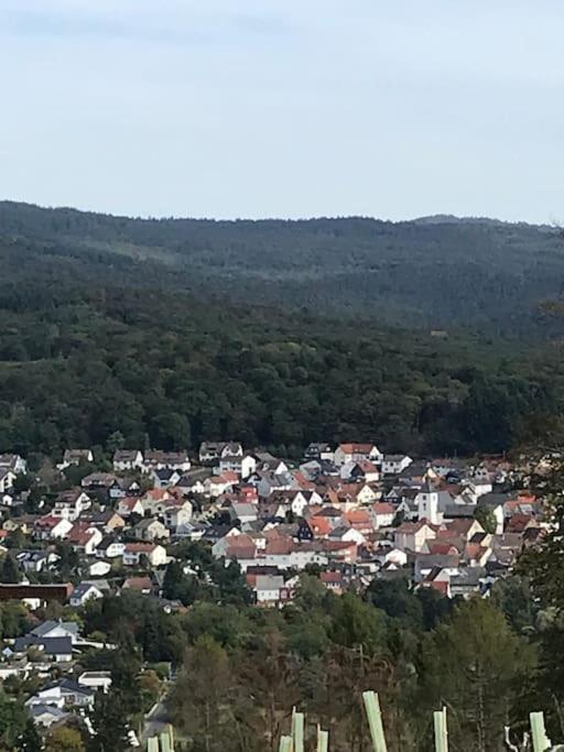 Apartment Mit Wintergarten Und Terrasse In Ruhiger Lage Im Schoenen Taunus Glashutten  Exterior foto