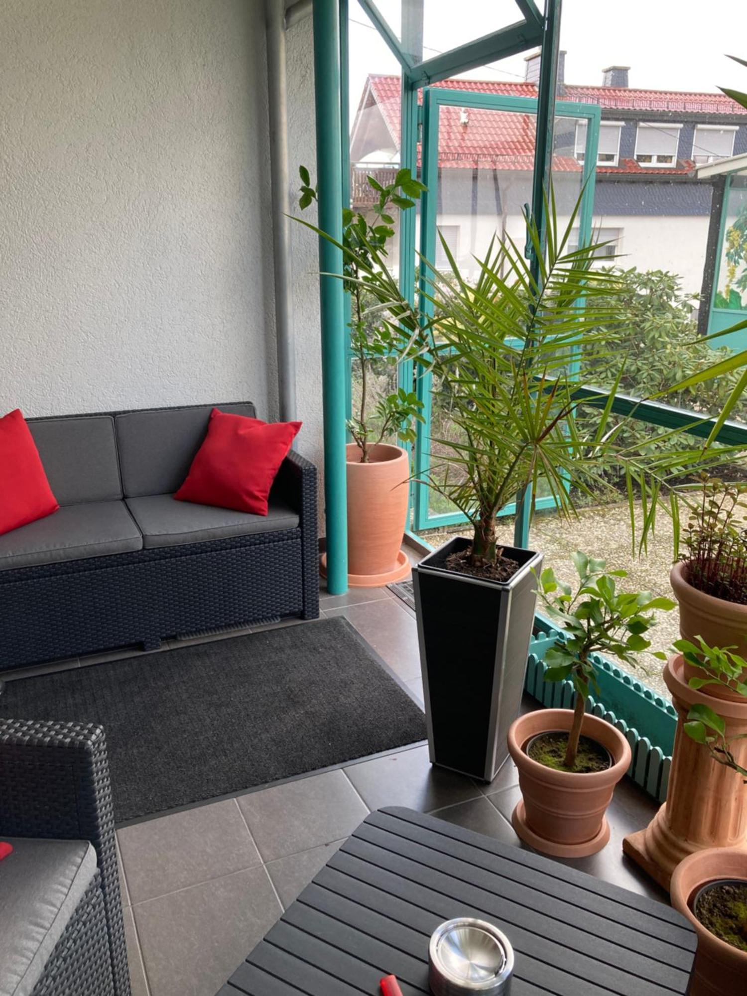 Apartment Mit Wintergarten Und Terrasse In Ruhiger Lage Im Schoenen Taunus Glashutten  Exterior foto